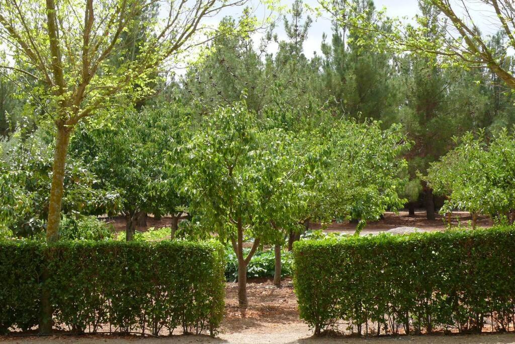 Casa En El Campo Con Encanto Almansa Kültér fotó