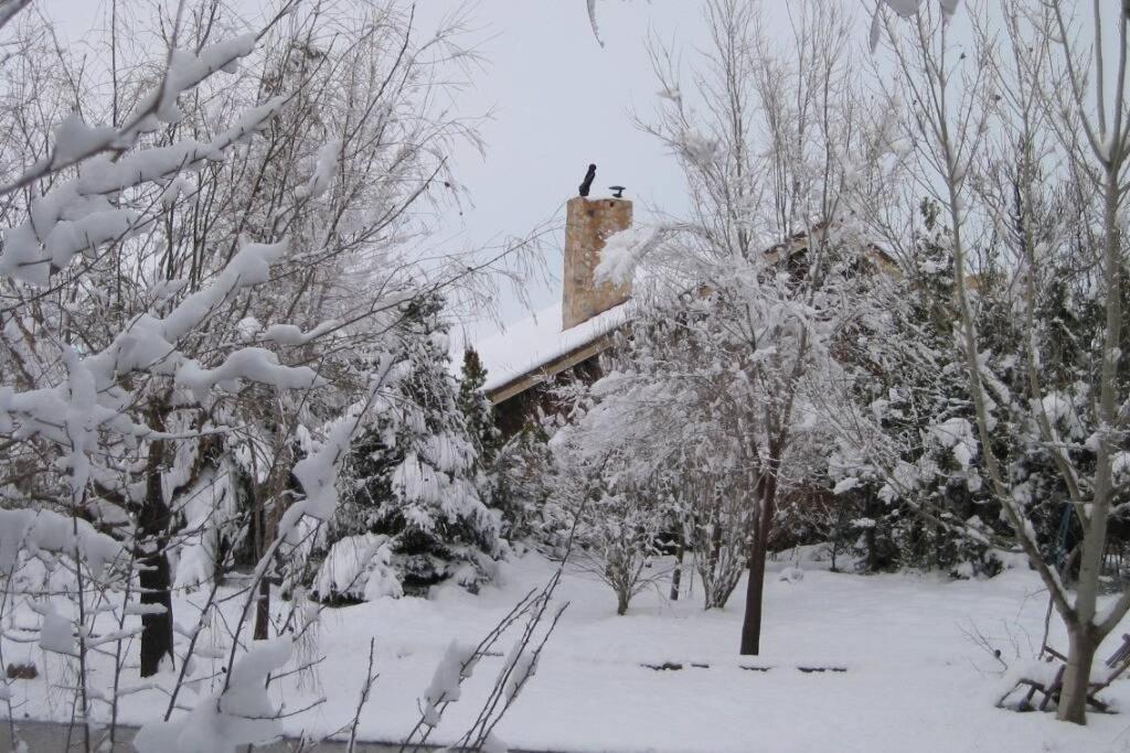 Casa En El Campo Con Encanto Almansa Kültér fotó