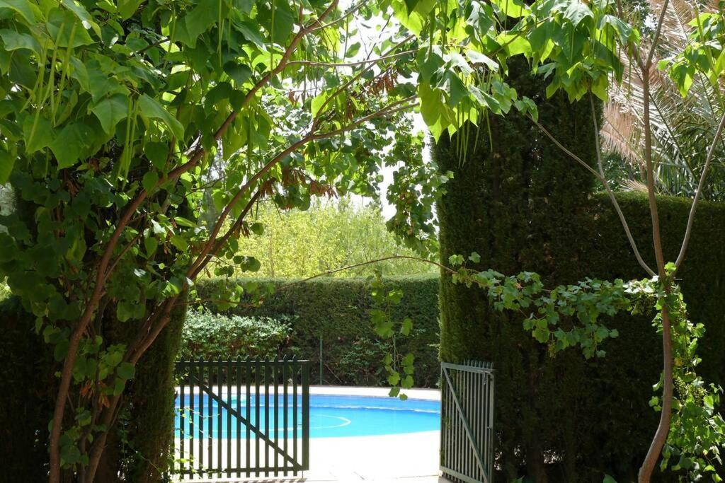 Casa En El Campo Con Encanto Almansa Kültér fotó